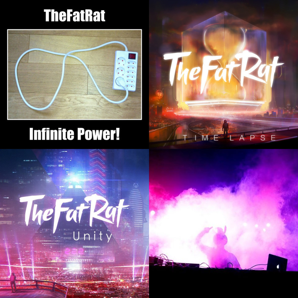 The fat rat